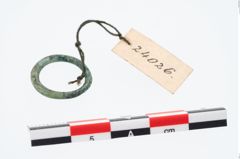 Foto von Bronzering (NHMW-PRAE-024026)